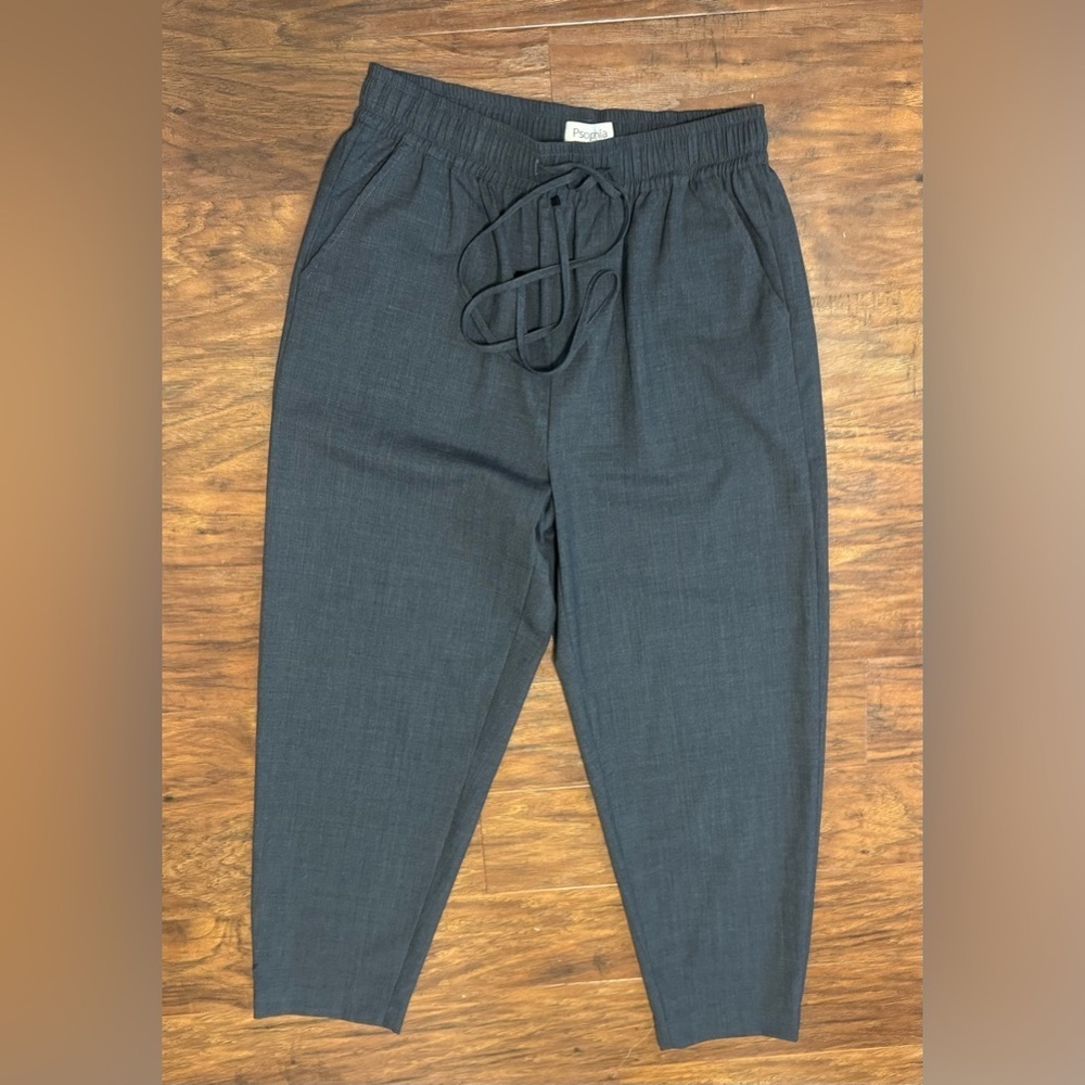 Psophia Wool Blend Drawstring Cropped Pants Charcoal Lightweight NWT 40 US 8